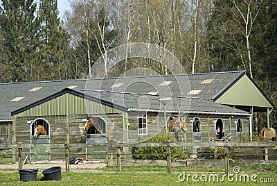 Royalty Free Stock Image: Stable School for ho