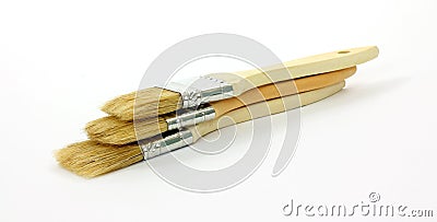 Disposable Paint Brushes