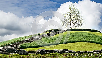 Staircase leading to lonely tree