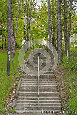 Stairs through forest