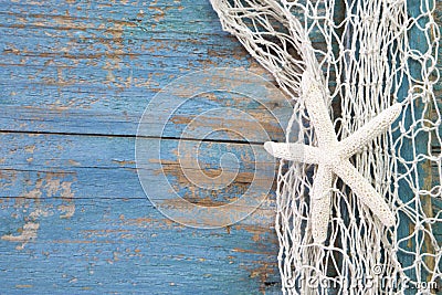 Starfish in a fishing net with a blue background