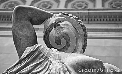 Marble statue of a wounded amazon essay