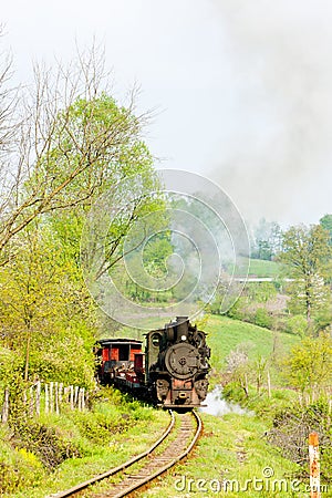 Steam train