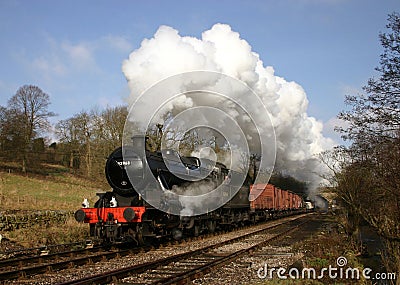 Steam Train in Bronte Country