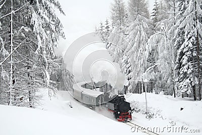 Steam train driving through snowy woods