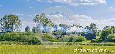 Steam Train In Spring Countryside