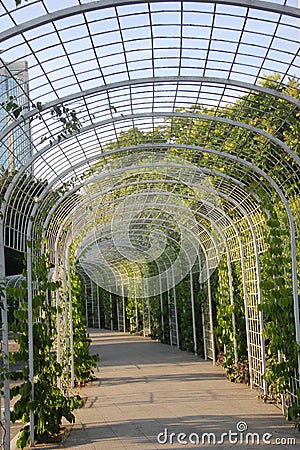 Steel arched corridor