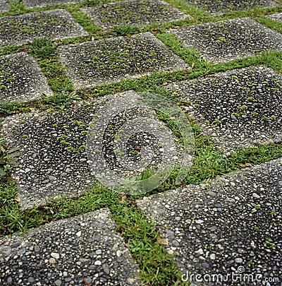 Stepping stones