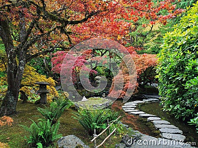 Stepping stones in the Japanese Garden