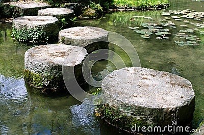 Stepping stones on a lotus pond
