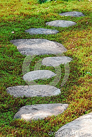 Stepping stones through moss