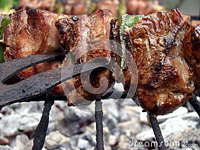 Sticks of meat