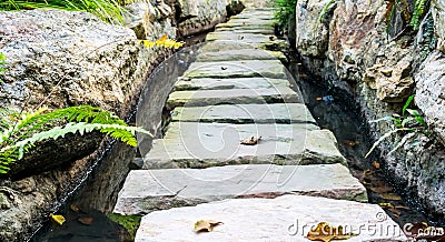 Stone Walkway in garden.