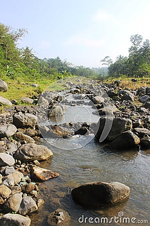 The stones in the river.