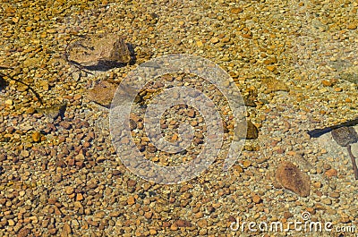 Stones in the river in Yosemite