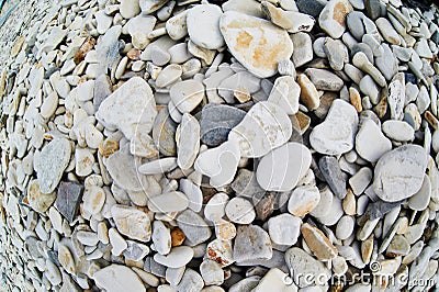 Stones on the seashore