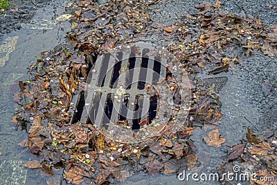 Storm drain during rain storm