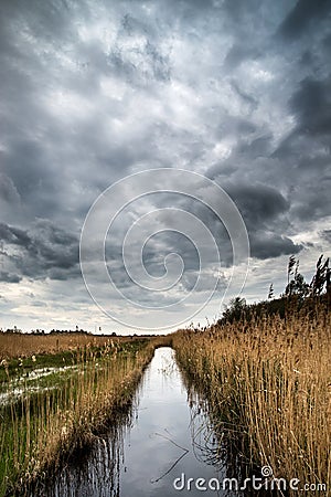 Stormy sky landscape over wetlands in countryside