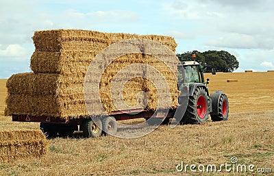 Straw bales, tractor and trailer.
