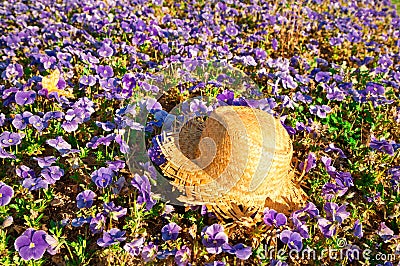 Straw hat on a field of purple pansies with a butterfly