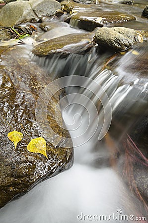 Streaming water between rocks with autumn leaves