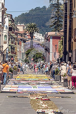 Street of La laguna with flower carpets