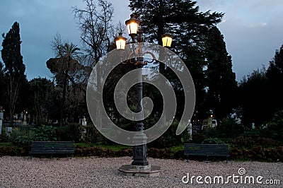 Street lamp in the park by night