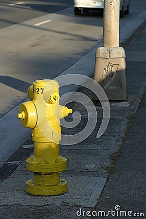 Street Scene with Fire Hydrant