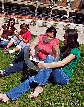 Students studying outside