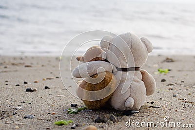 Stuffed Animals Hugging on the Beach