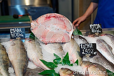 Sturgeon on fish market