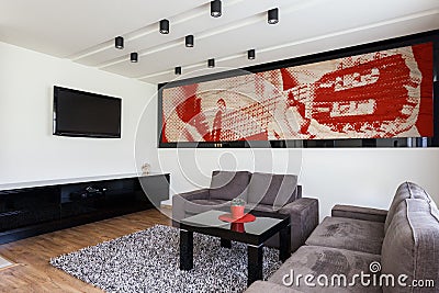 Stylish and modern living room