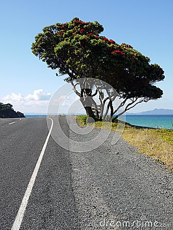 Summer: beach road ocean view