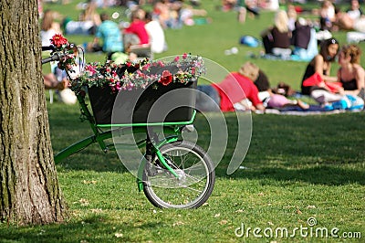 Summer bike in the park in Amsterdam