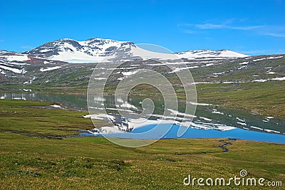 Summer Fjell Landscape in Northern Norway