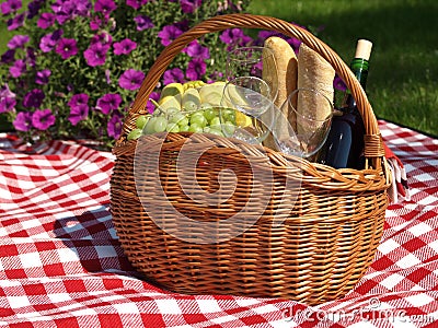 Summer picnic