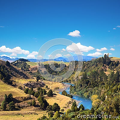 Summer picturesque landscape with the river