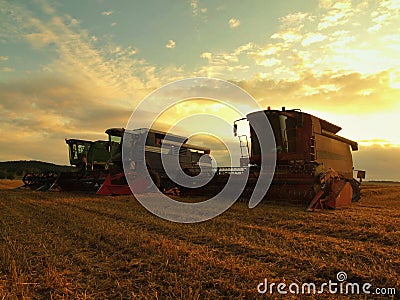 With the sun hanging low on the horizon, a combine harvest wheat in the middle of a farm field.