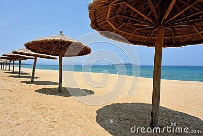 Sun umbrellas on the beach