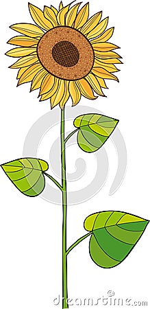 Sunflower Stock Images - Image: 37486004