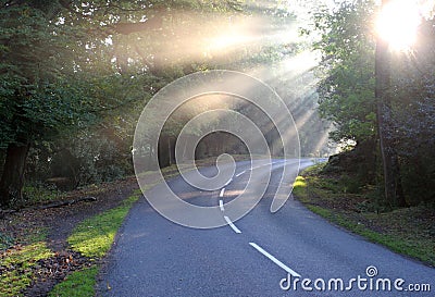 Sunlight Dawn Rural Road Mist