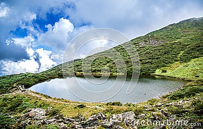 Sunny and lake