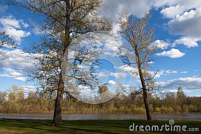 Sunny landscape of ural meadow