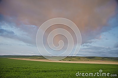 Sunset clouds over wheat fields