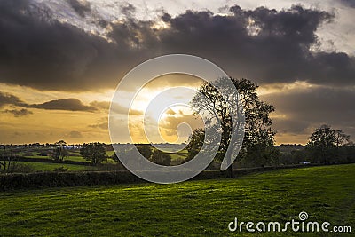 Sunset in farm fields with tree and beautiful cloudy sky, Cornwall, UK