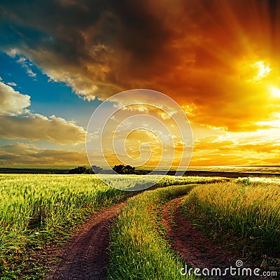 Sunset over winding road in field