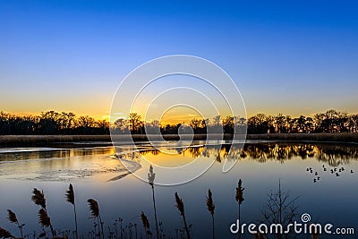 Sunset Serenade