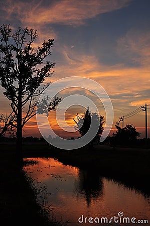 Sunset Sky and Rice Field