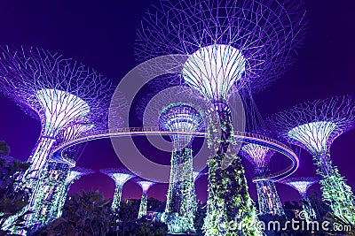 Super Tree, Garden by the Bay