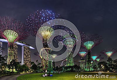 Super Trees Night Scene at Singapore Gardens by the Bay